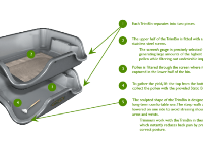 explore_chart-1 explore_chart-1